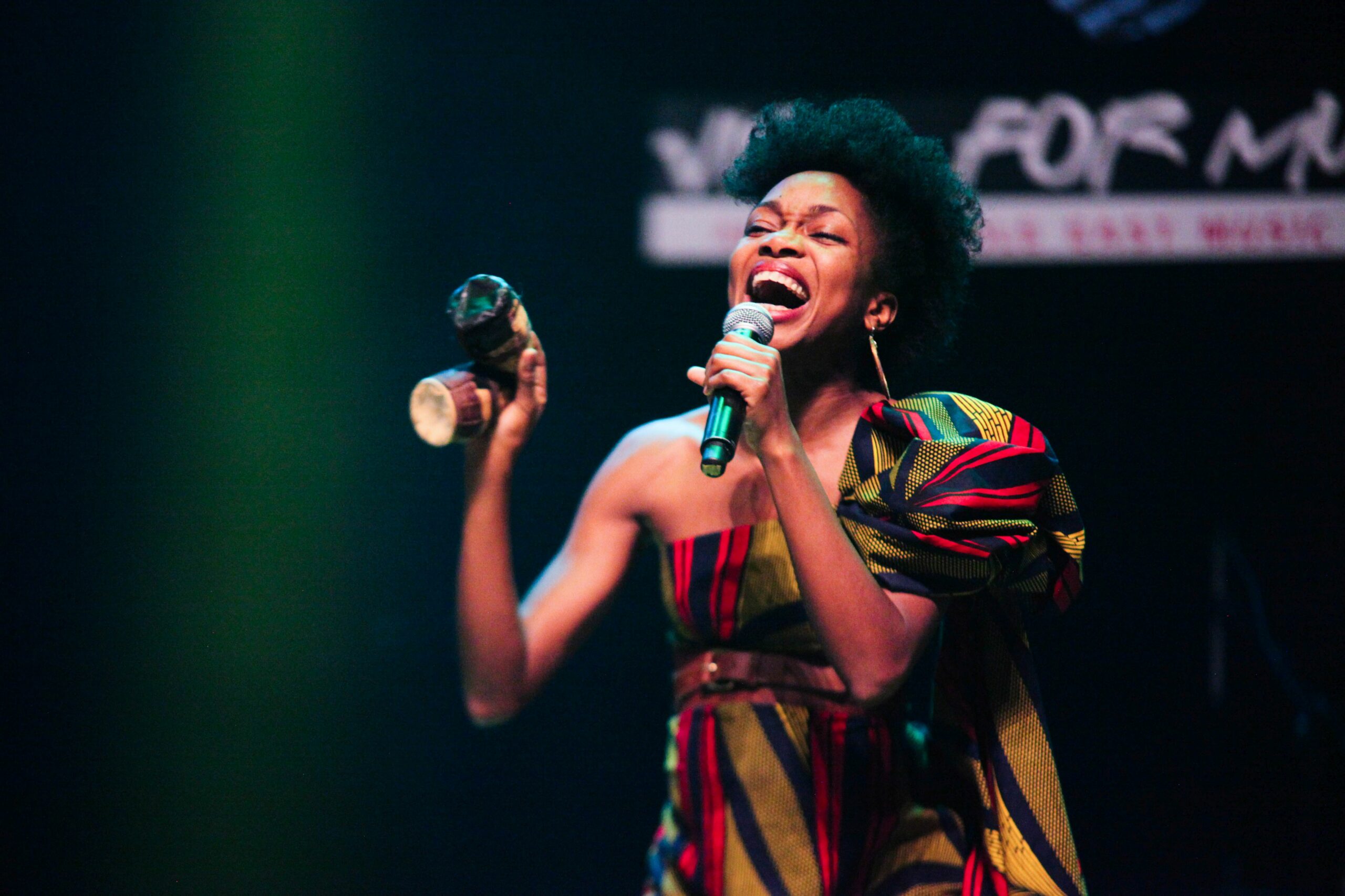 Visa for Music Festival makes strides | Arts Ghana | Our agenda is